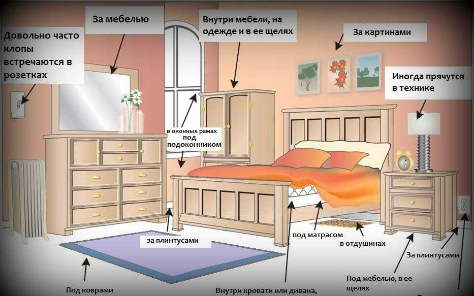 В гостиничных номерах и отелях