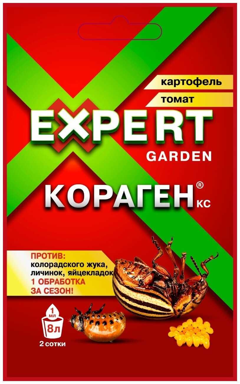 Как быстро действует кораген эксперт на колорадского жука?