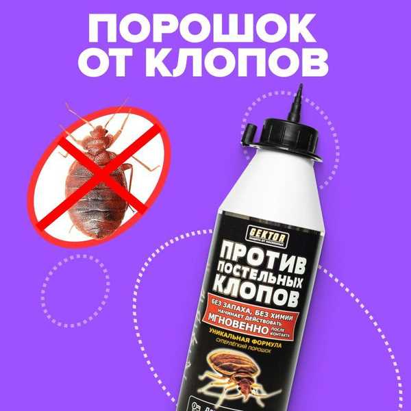 Важные советы от Гектора для эффективной борьбы с клопами