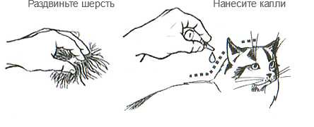 Как работают капли от блох