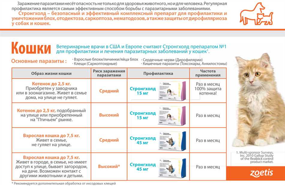 5. Консультируйтесь с ветеринаром