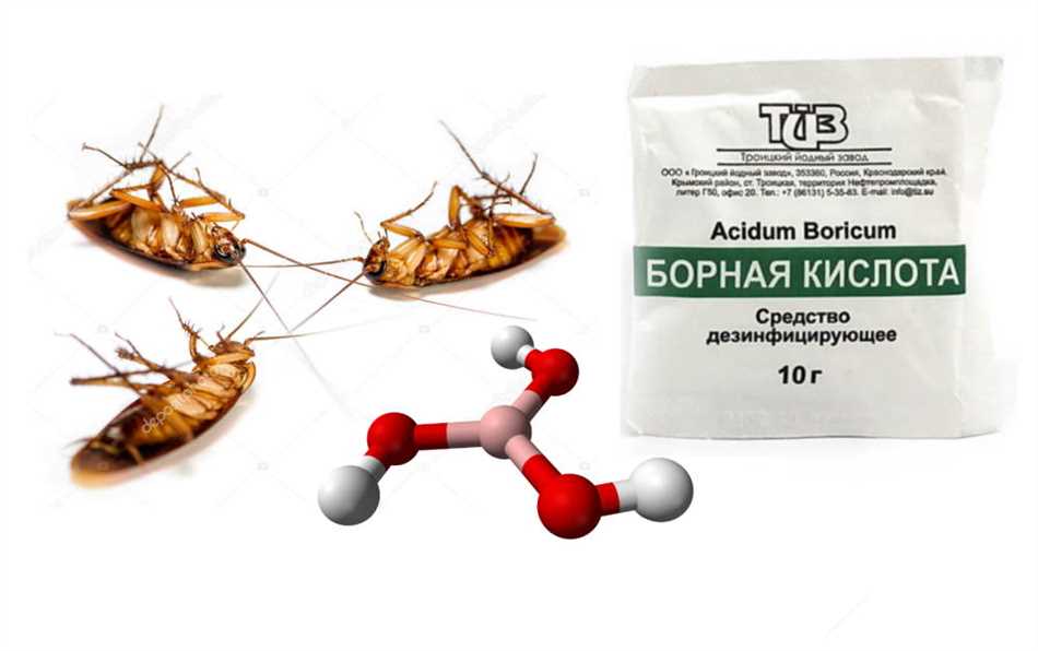 Действие борной кислоты на тараканов с желтком