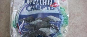 Как влияет крысиная отрава на кошек: причины, симптомы и лечение