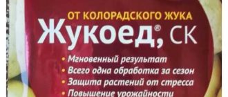 Как действует препарат жукоед на колорадского жука: эффективность и результаты