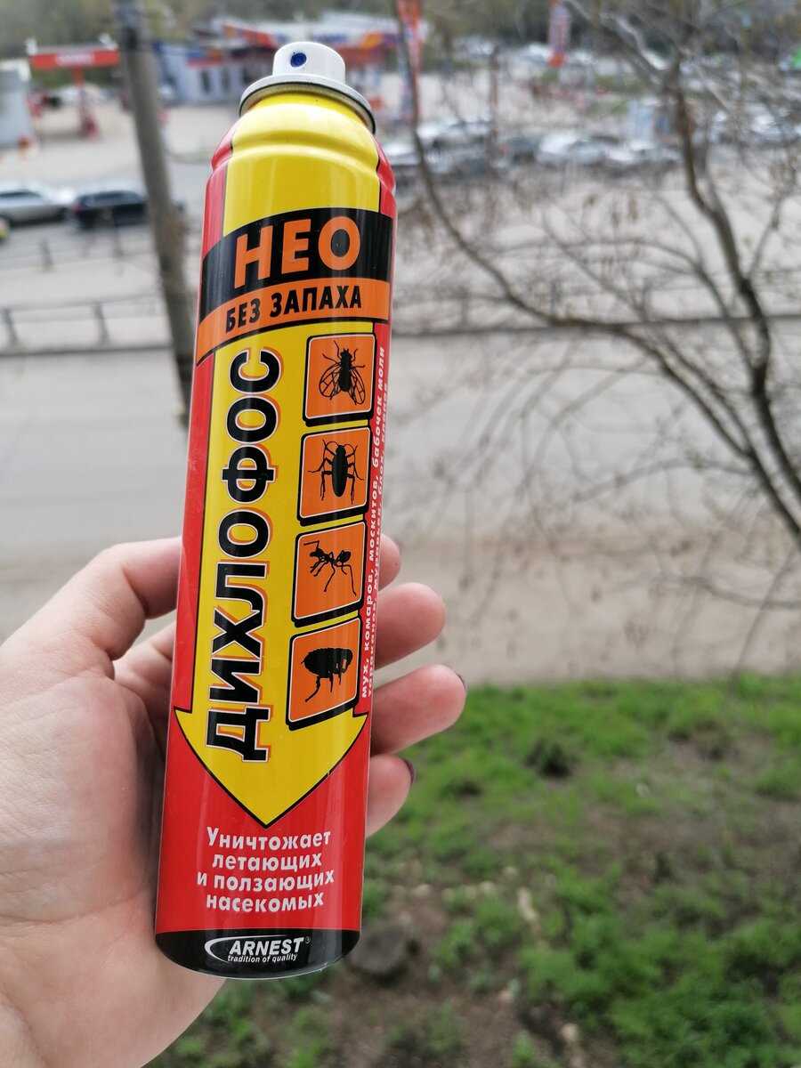 Изменение физиологических процессов в растениях
