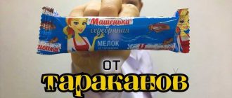 Как долго действует на таракана отмелок Машенька? Длительность эффекта и достоинства средства