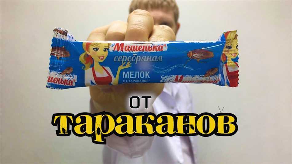 Как долго действует на таракана отмелок Машенька?