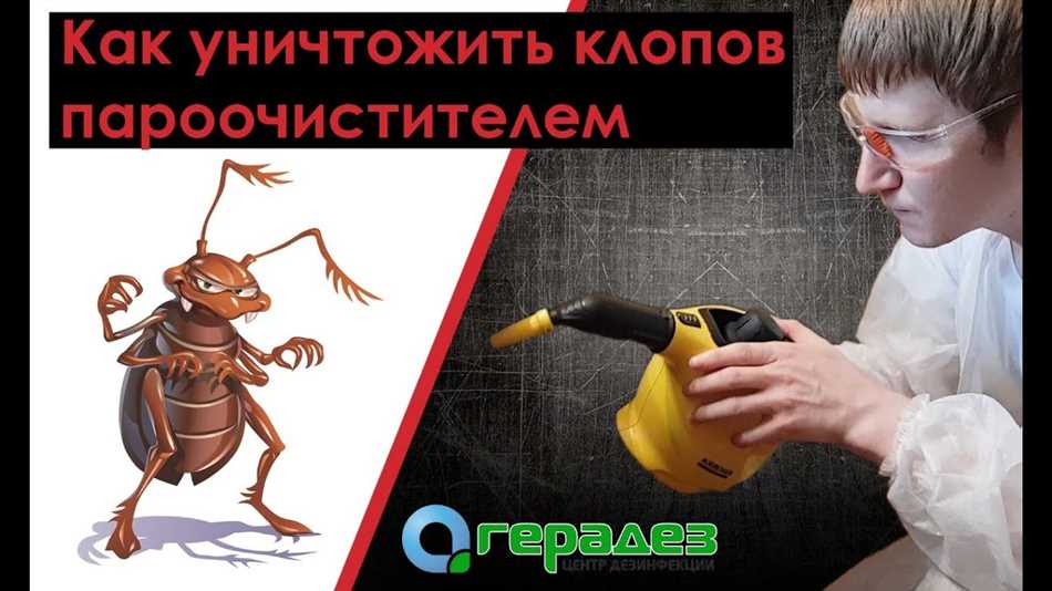 Клопы и их реакция на высокую температуру