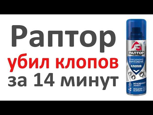 4. Поручите дело профессионалам