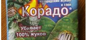 Как использовать Корадо от колорадского жука: экспертные советы и инструкции