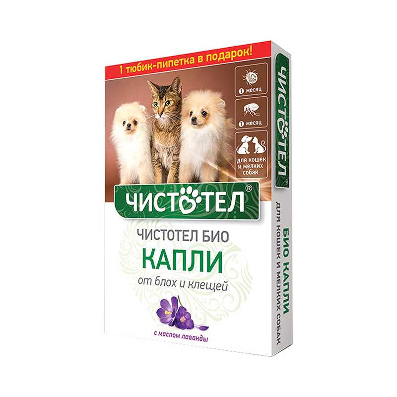 Пункт 2.2: Нанесение спрея на шерсть кошки