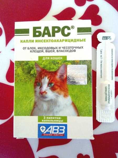 Лекарства от блох можно дать котенку в разных формах: в виде таблеток, капель, спреев или шампуней. Некоторые котята могут не очень нравиться получать лекарства, но в таком случае можно попробовать смешать их со вкусной едой или обрадовать малыша его любимой игрушкой.