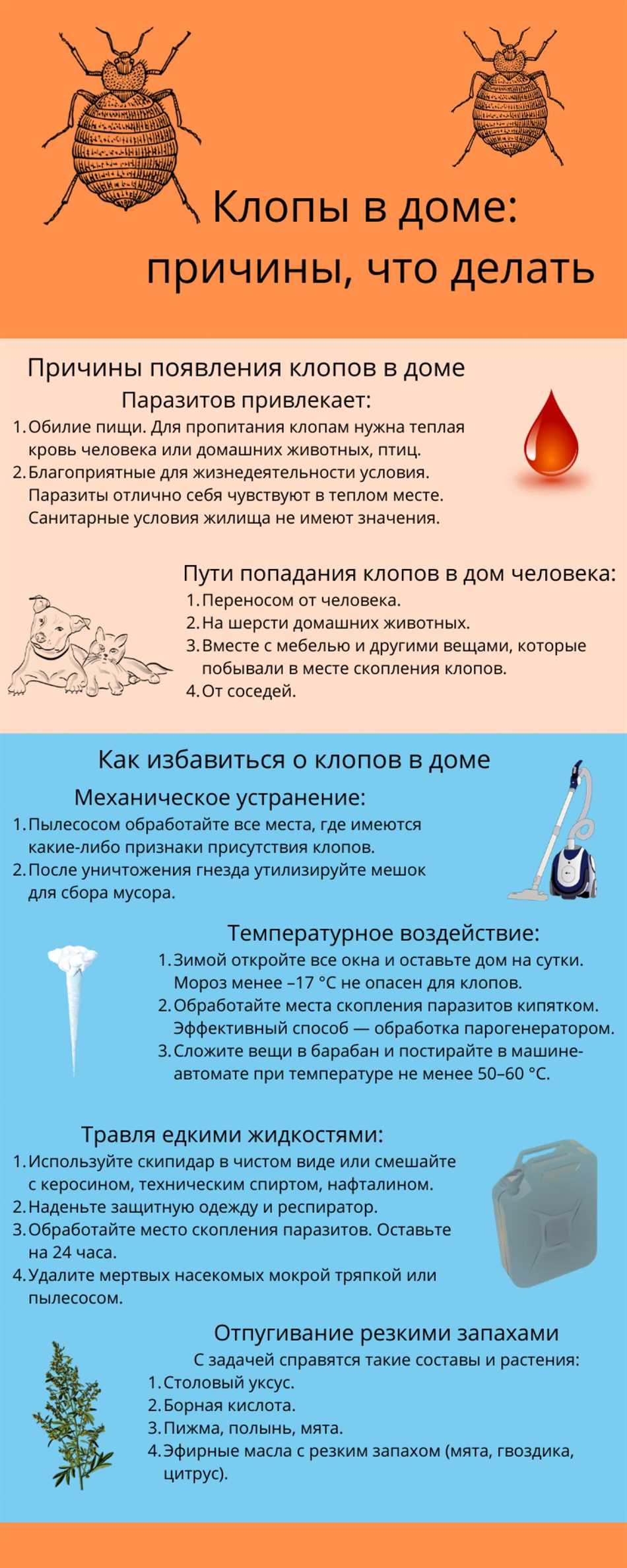 Как определить присутствие клопов в доме?