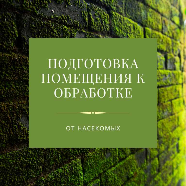 Почему обработка от блох в подвале важна?