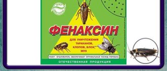 Как называется порошок от тараканов?