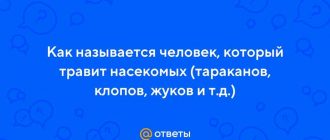 Какой наиболее эффективный специалист занимается уничтожением тараканов и клопов?