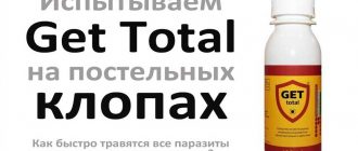 Как обрабатывать помещение от клопов самостоятельно в домашних условиях средством гет экспресс?