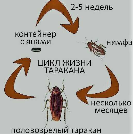 Раздел 1: Тактильные сигналы