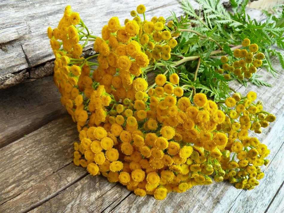 Важно