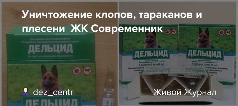 Как выбрать и приготовить дельцид?