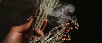 Как полынь помогает в магических практиках: секреты использования