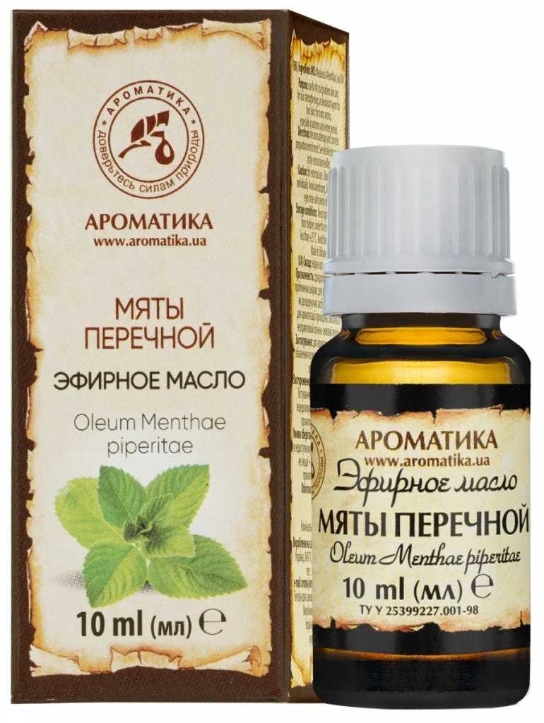 Как выращивают мятные растения для получения эфирного масла?