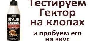 Как правильно использовать Гектор от клопов: советы и рекомендации