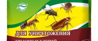 Как использовать отраву от тараканов фас? Руководство для эффективного применения