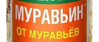 Инструкция по использованию средства Муравьин от муравьев