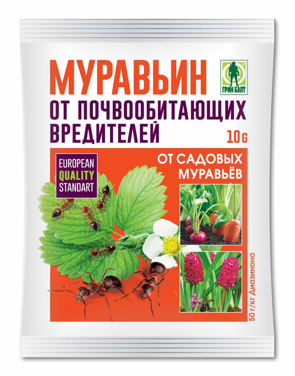 1. Локализация точек проникновения
