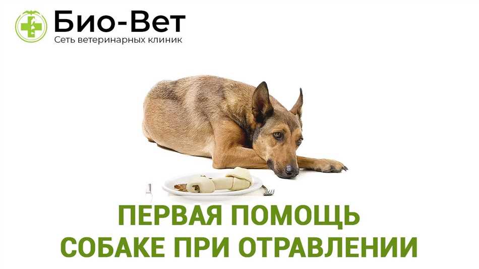 Расстройство пищеварительной системы