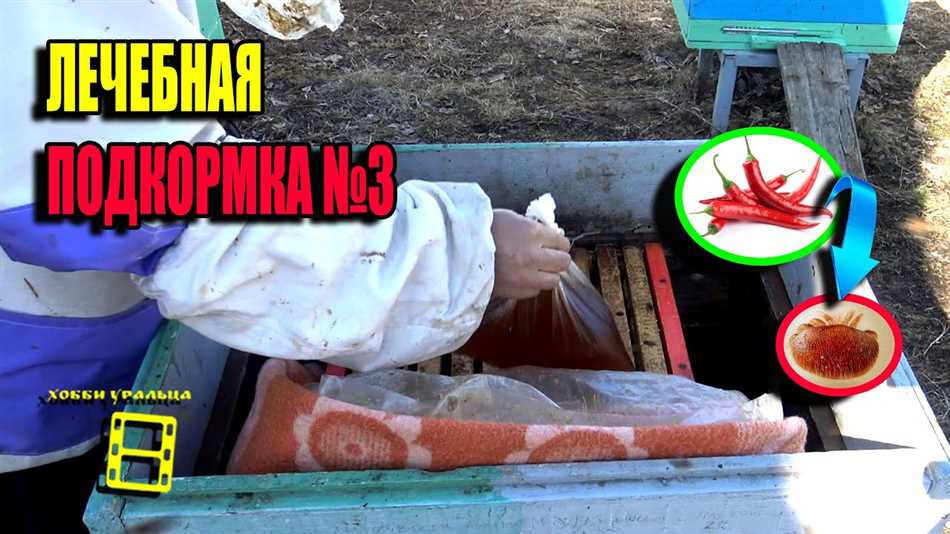 Как правильно приготовить подкормку для пчел из полыни?