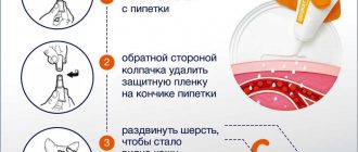 Как применять капли от блох для кошек? Подробная инструкция