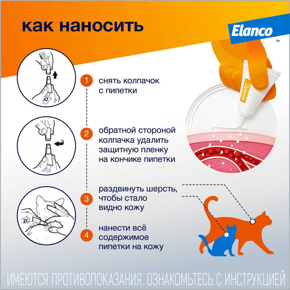 Как применять капли от блох для кошек?