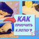 Как приручить домашнюю крысу: основные шаги и советы