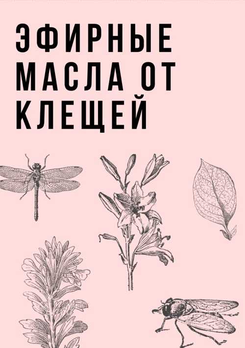 Как правильно развести эфирное масло?