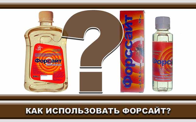 Какие ингредиенты понадобятся для разведения форсайта от клопов?