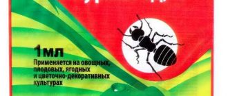 Как правильно разводить средство муравьед: подробная инструкция по применению