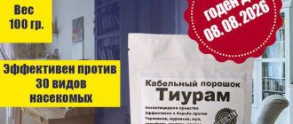 Как разводить тиурам от тараканов: эффективные способы борьбы с этими вредителями