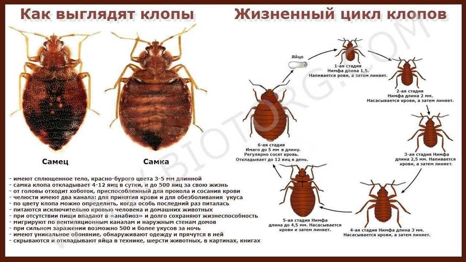 Правила применения аграна