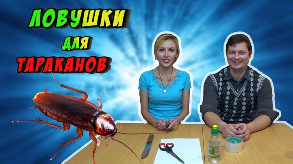 Как правильно установить ловушки для тараканов?