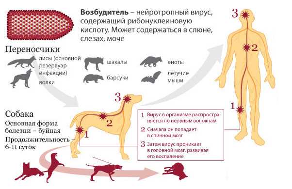 Изменение поведения