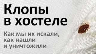 Какую эффективность имеет дезинфекция холодным туманом?