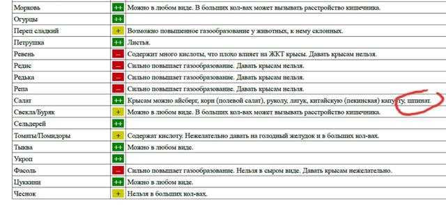 Как приготовить рисовую кашу для крыс