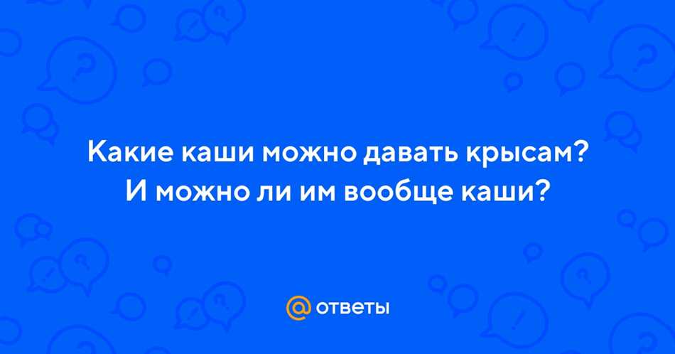 Племенные крысы: особые требования к кормлению