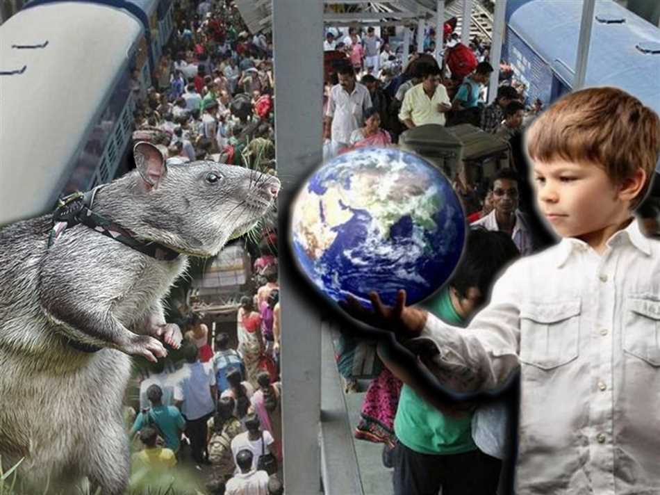 Личностные черты представителей знака Крысы