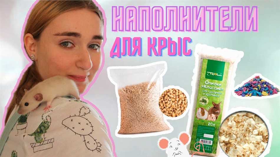 Определение и функции наполнителей