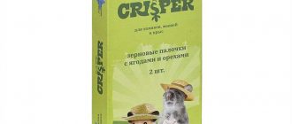 Какие палочки подходят для грызения крысам: рекомендации и советы