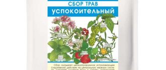 Топ-10 успокоительных трав: какие растения помогут снять стресс и нервное напряжение?