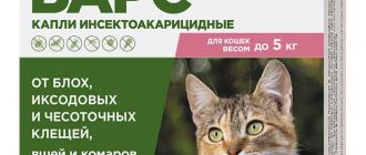 Уколы от блох для кошек: какие препараты эффективны?